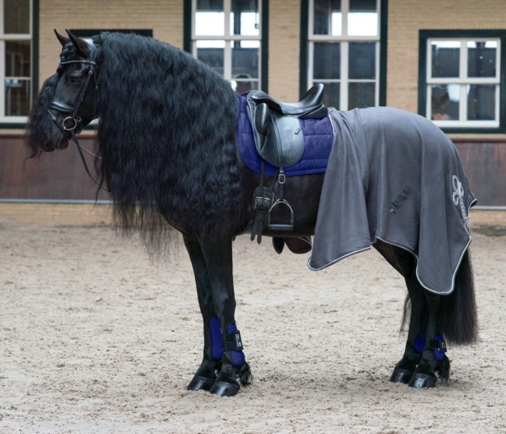 (Bild für) Fleece Decke mit Ornamenten - zum Schließen ins Bild klicken